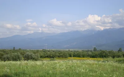 smm