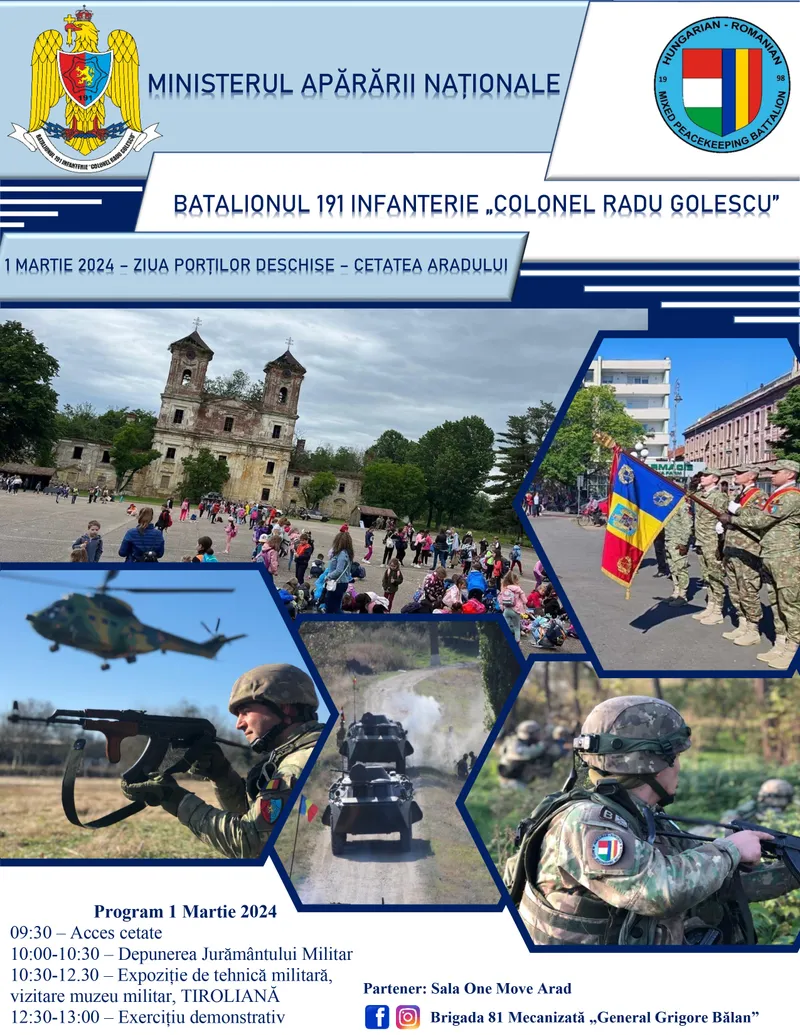 Consiliul Județean intervine pentru salvarea Cetății Șoimoș