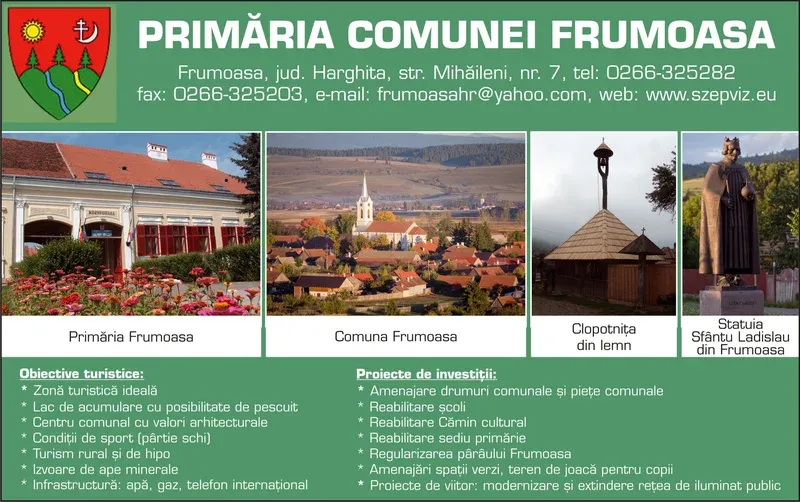 PRIMĂRIA FRUMOASA