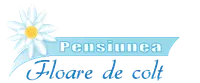 OVIDIU SERVICE PENSIUNEA FLOARE DE COLŢ