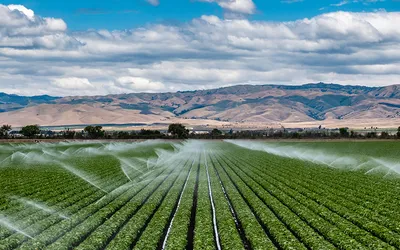 Gospodărirea responsabilă a rezervelor de apă