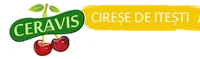 CERAVIS SRL