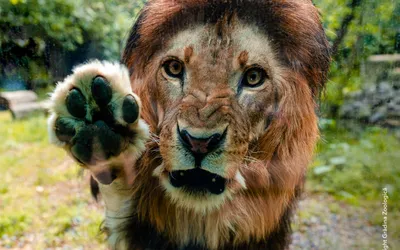 Activități distractive la Grădina Zoologică, duminică, 6 august