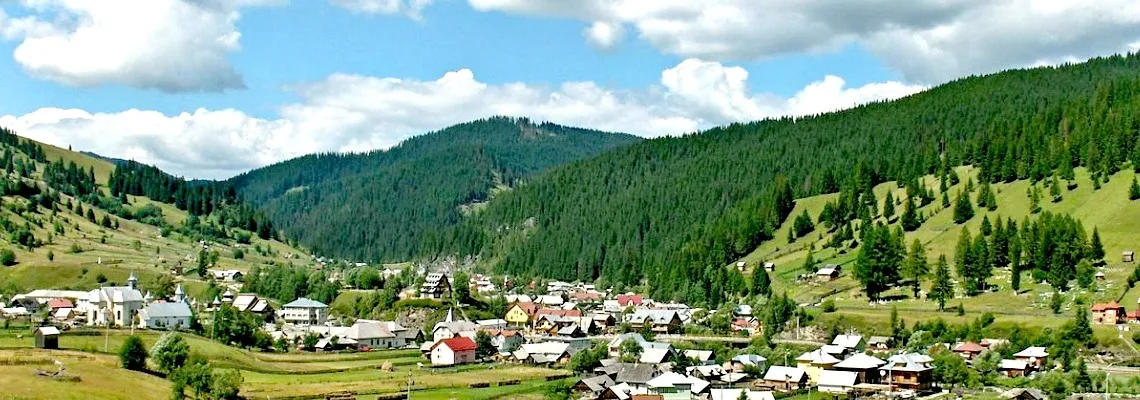 PRIMĂRIA CÂRLIBABA