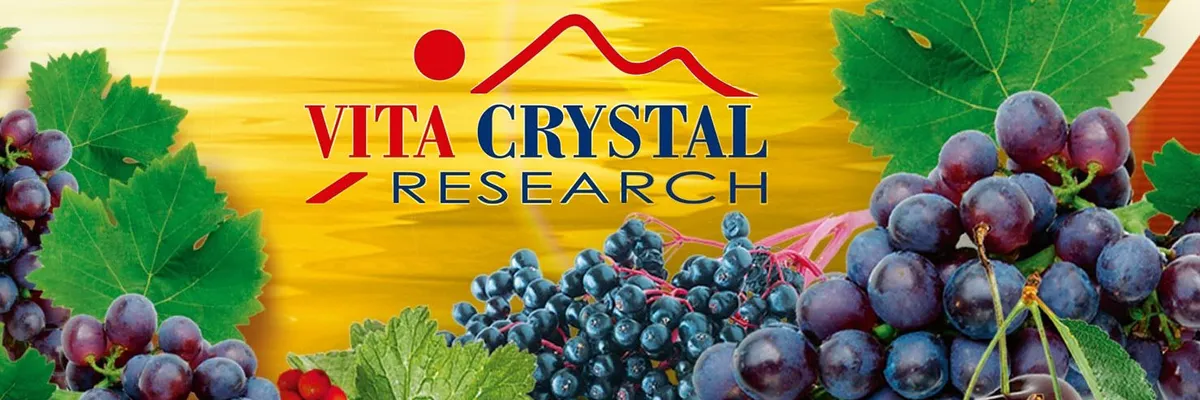 VITA CRYSTAL RESEARCH SRL