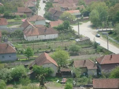 PRIMĂRIA PEŞTIŞU MIC