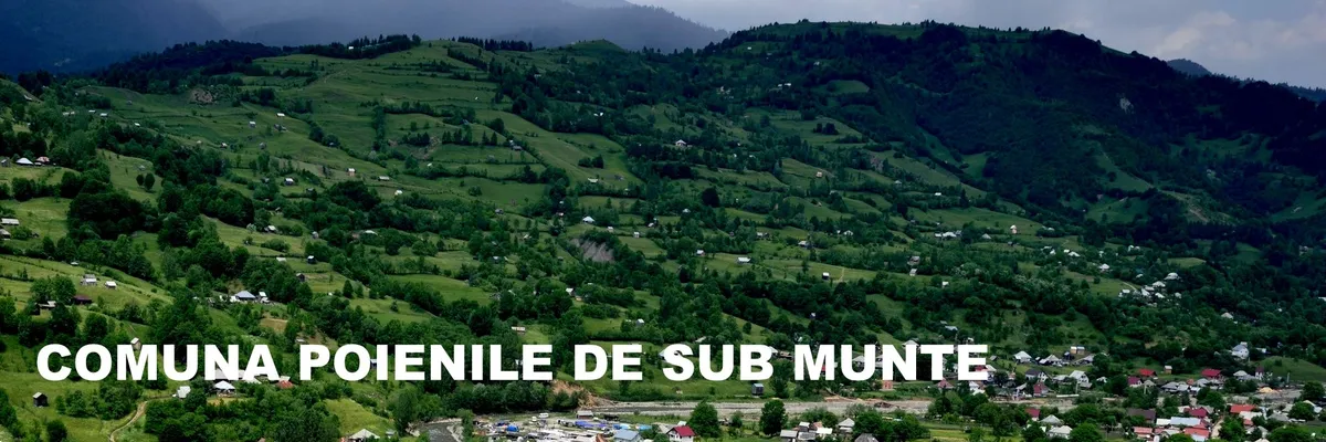 PRIMĂRIA POIENILE DE SUB MUNTE