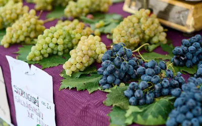 Modificare program Târgul Produselor Bihorene