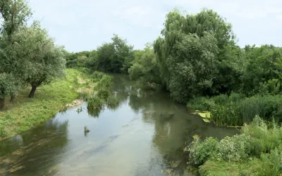 Viziune de primar: Andrei Lucia, primarul comunei Bulbucata, județul Giurgiu