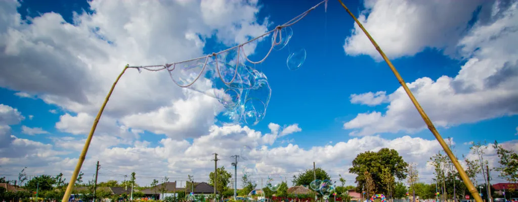 PRIMĂRIA NEGRU VODĂ