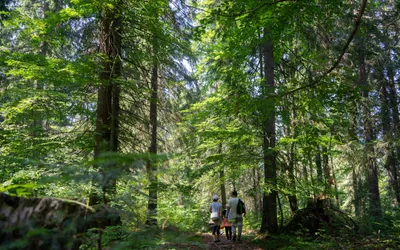 S-a semnat contractul de finanțare pentru Muntele Șes