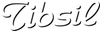 TIBSIL SRL