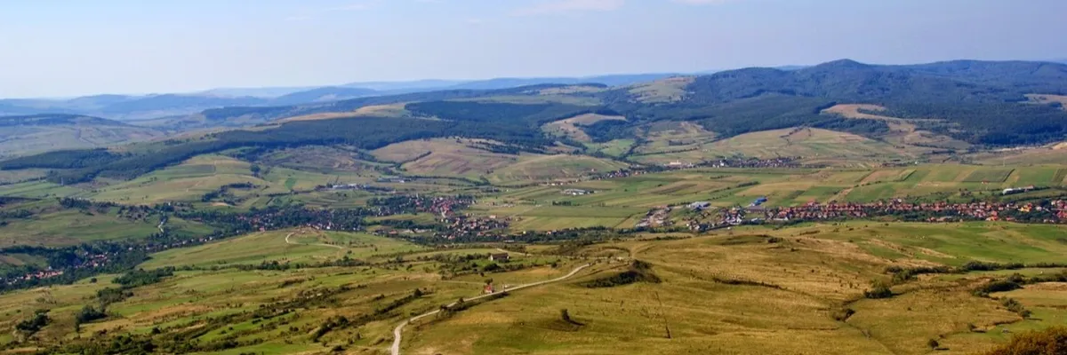 PRIMĂRIA LUPENI