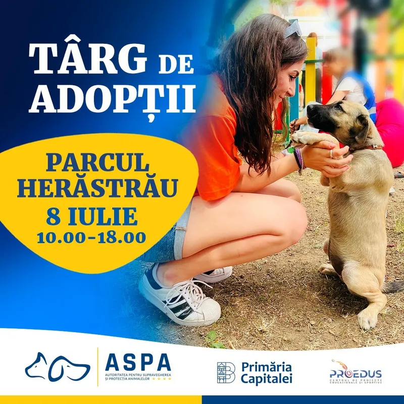 Târg de adopții pentru căței - 8 iulie, Parcul Regele Mihai I