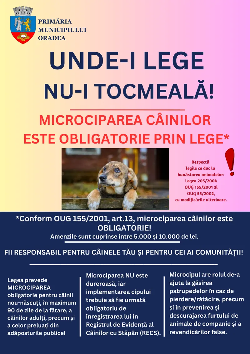 Încă poți să-ți microcipezi câinele gratuit! Amenzile pentru patrupedele fără microcip ajung până la 10 mii de lei