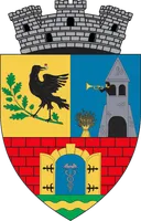 PRIMĂRIA ORAȘULUI NĂDLAC