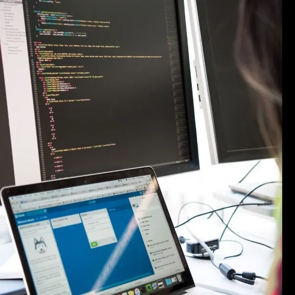 DEZVOLTAREA COMPETENTELOR DIGITALE SI SECURITATE CIBERNETICA -CURS ONLINE