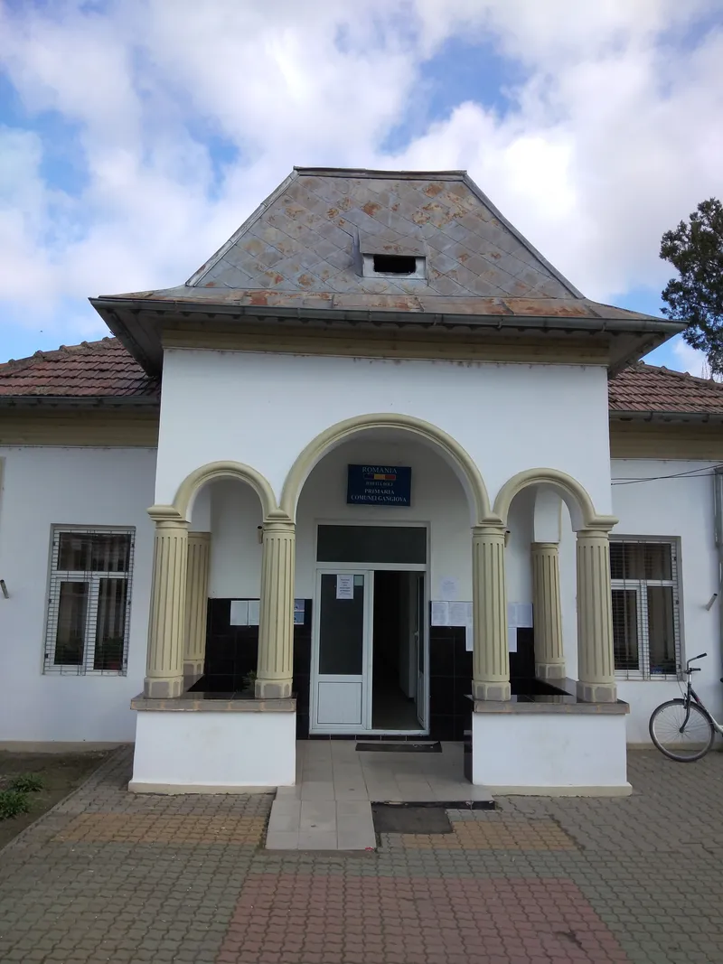 Viziune de primar: Preda Cristache, primarul comunei Gângiova, județul Dolj