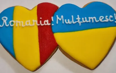 12 mai, ultima zi în care se mai pot depune cereri pentru decontarea cheltuielilor cu hrana și utilitățile, de către românii care găzduiesc refugiați ucraineni