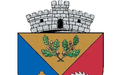 PRIMĂRIA SCHITU GOLEŞTI