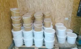Miere de tei in galetuse noi de plastic alimentar de 14 kg=10 litri cu tot cu livrare oriunde in Romania  Pret: 330 RON