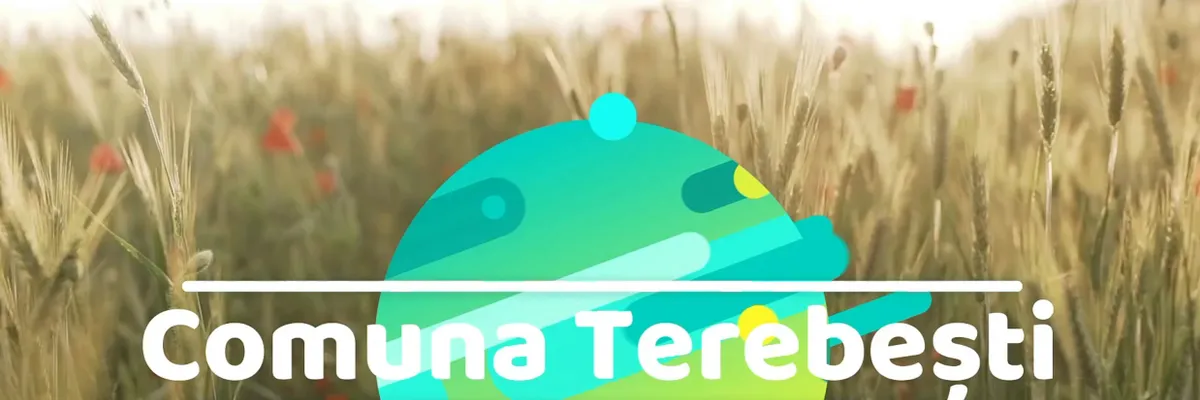 PRIMĂRIA TEREBEŞTI