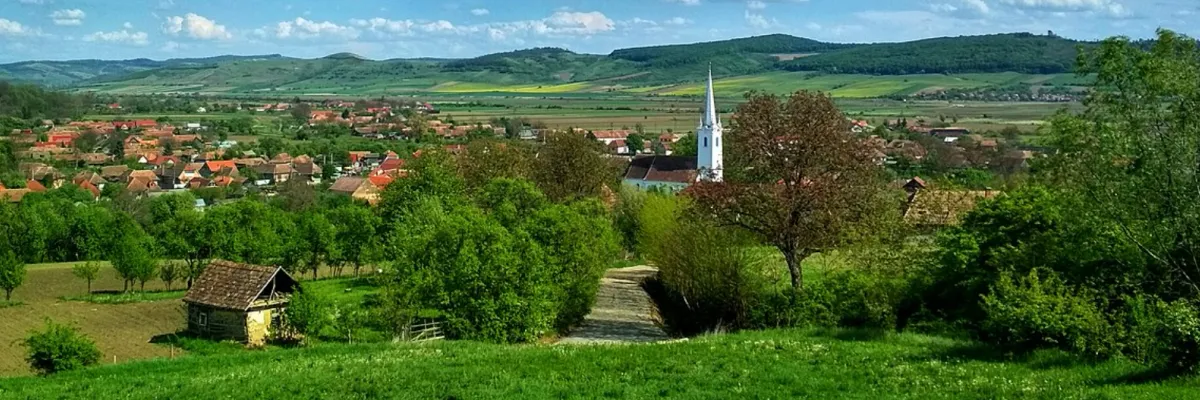 PRIMĂRIA PĂSĂRENI