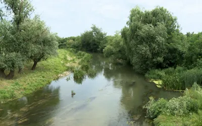 Viziune de primar: Andrei Lucia, primarul comunei Bulbucata, județul Giurgiu