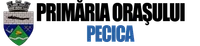 PRIMĂRIA PECICA