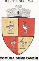 PRIMĂRIA DUMBRĂVENI