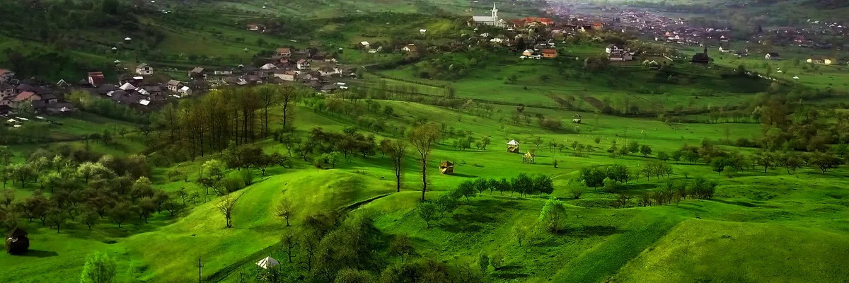 PRIMĂRIA RONA DE JOS