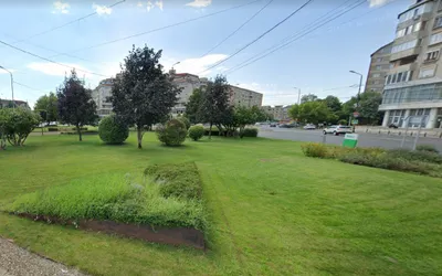 Spațiile verzi aparținând domeniului public pot fi întreținute în schimbul  amplasării unor panouri publicitare