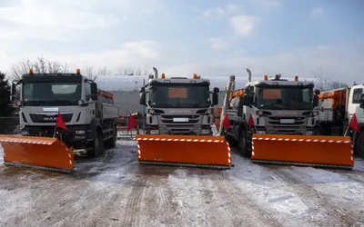 Lame de deszapezire SF