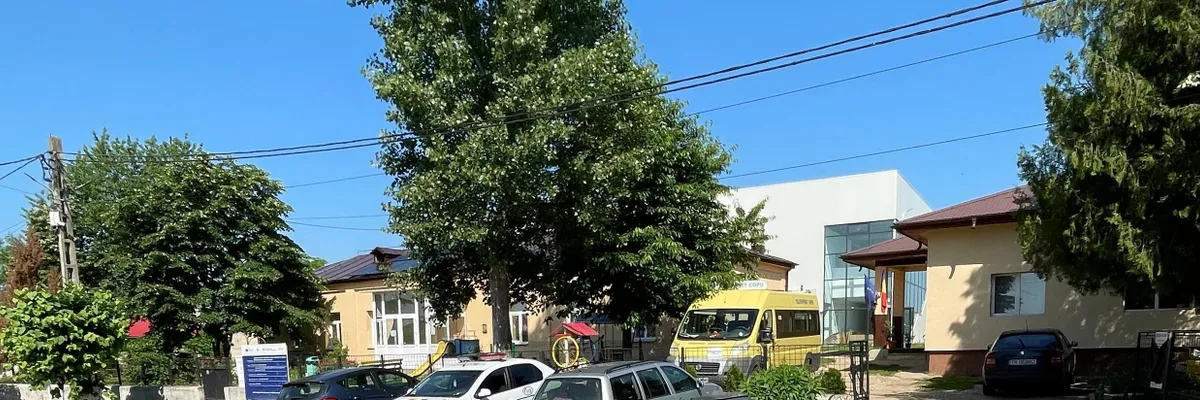 PRIMĂRIA DRĂGĂNEŞTI DE VEDE