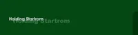 HOLDING STARTROM SRL