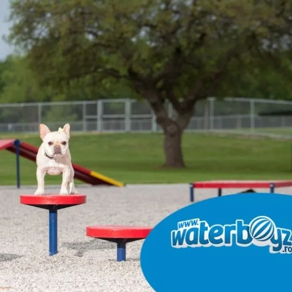 De ce fiecare comunitate are nevoie de un parc pentru câini?