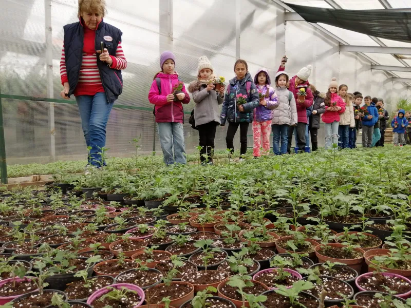 Un milion de flori, plantate pe străzile Sectorului 6. Jumătate din ele  sunt produse în serele proprii ADPDU
