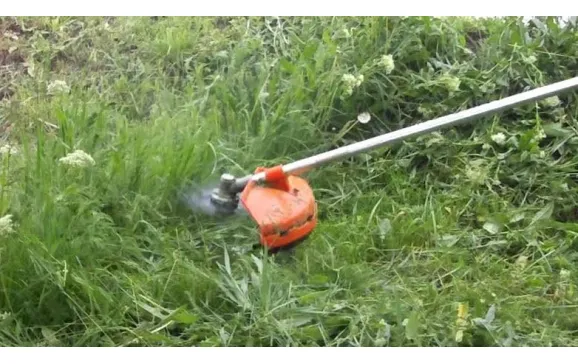 Orădenii au obligația să își întrețină lunar spațiile verzi. În caz contrar, Poliția Locală Oradea va aplica sancțiuni