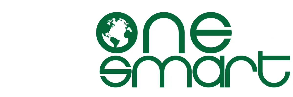 OneSmart