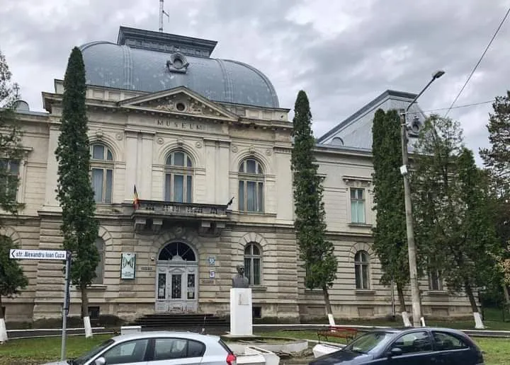 Patru oferte pentru consolidarea și restaurarea Muzeului de  Științe ale Naturii Dorohoi