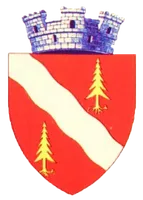 PRIMĂRIA SLĂNIC MOLDOVA