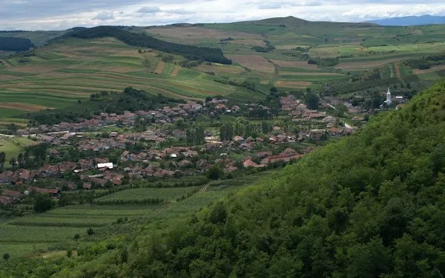 PRIMĂRIA LOPADEA NOUĂ