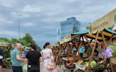 Piață volantă în Parcul Industrial TETAROM I