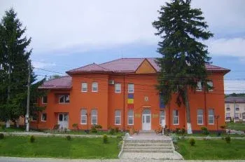 PRIMĂRIA IONEŞTI
