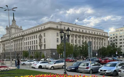 Qualiplant: Ce tipuri de flori și plante sunt potrivite pentru amenajarea spațiilor publice