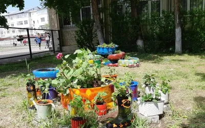 Start vot! “Cel mai frumos spaţiu verde din jurul şcolii”