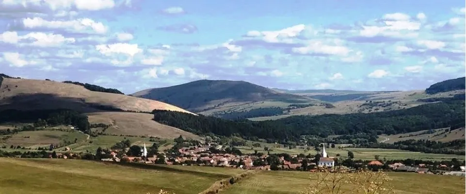 PRIMĂRIA MĂRTINIŞ