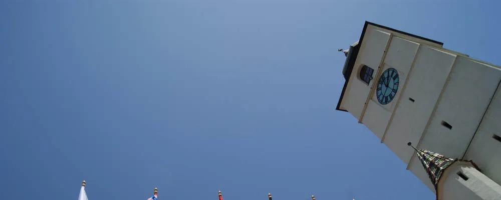 METROPOLIS COM SRL - Flags.ro -