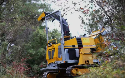 Schliesing – Tradiție și inovație germană pentru profesioniștii din domeniul exploatării lemnului și al întreținerii spațiilor verzi