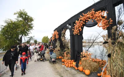 Cel mai mare festival de Halloween din România, în cifre: peste 80.000 de oameni în trei zile au ajuns pe insula Lacul Morii